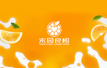 某良橙——吴忠LOGO设计